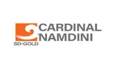 Cardnial Namdini Mining